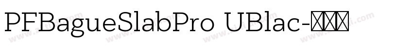 PFBagueSlabPro UBlac字体转换